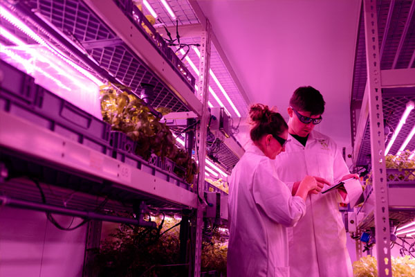 MedTech, HealthTech & BioTech